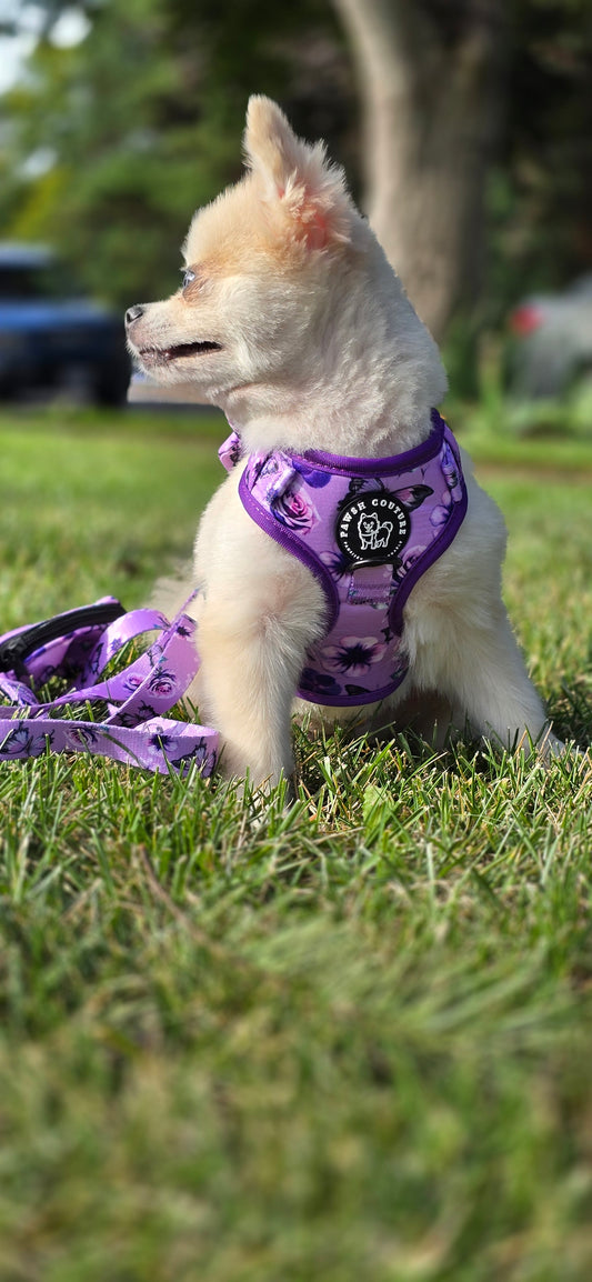 Amethyst Violeta Bloom