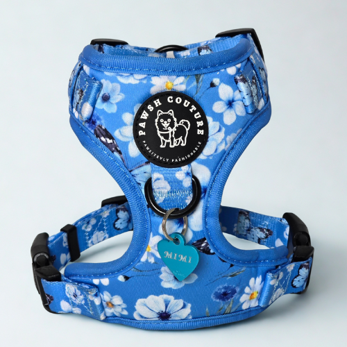 Sapphire Cielo Bloom