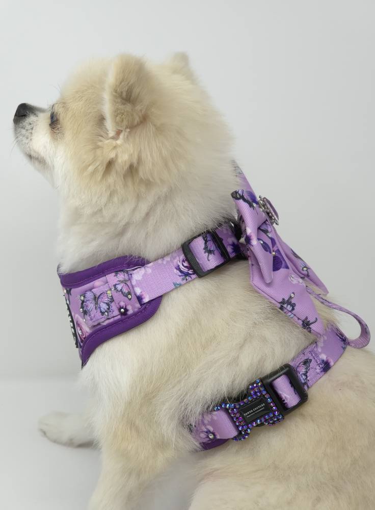 Pawsh Luxury Set