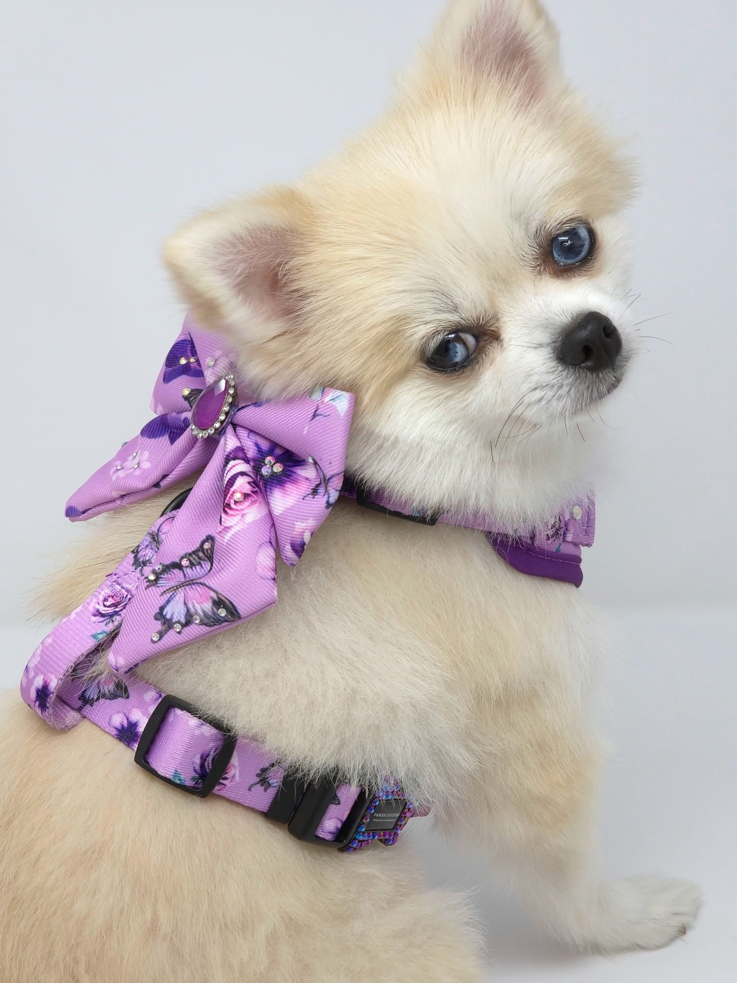 Pawsh Luxury Set