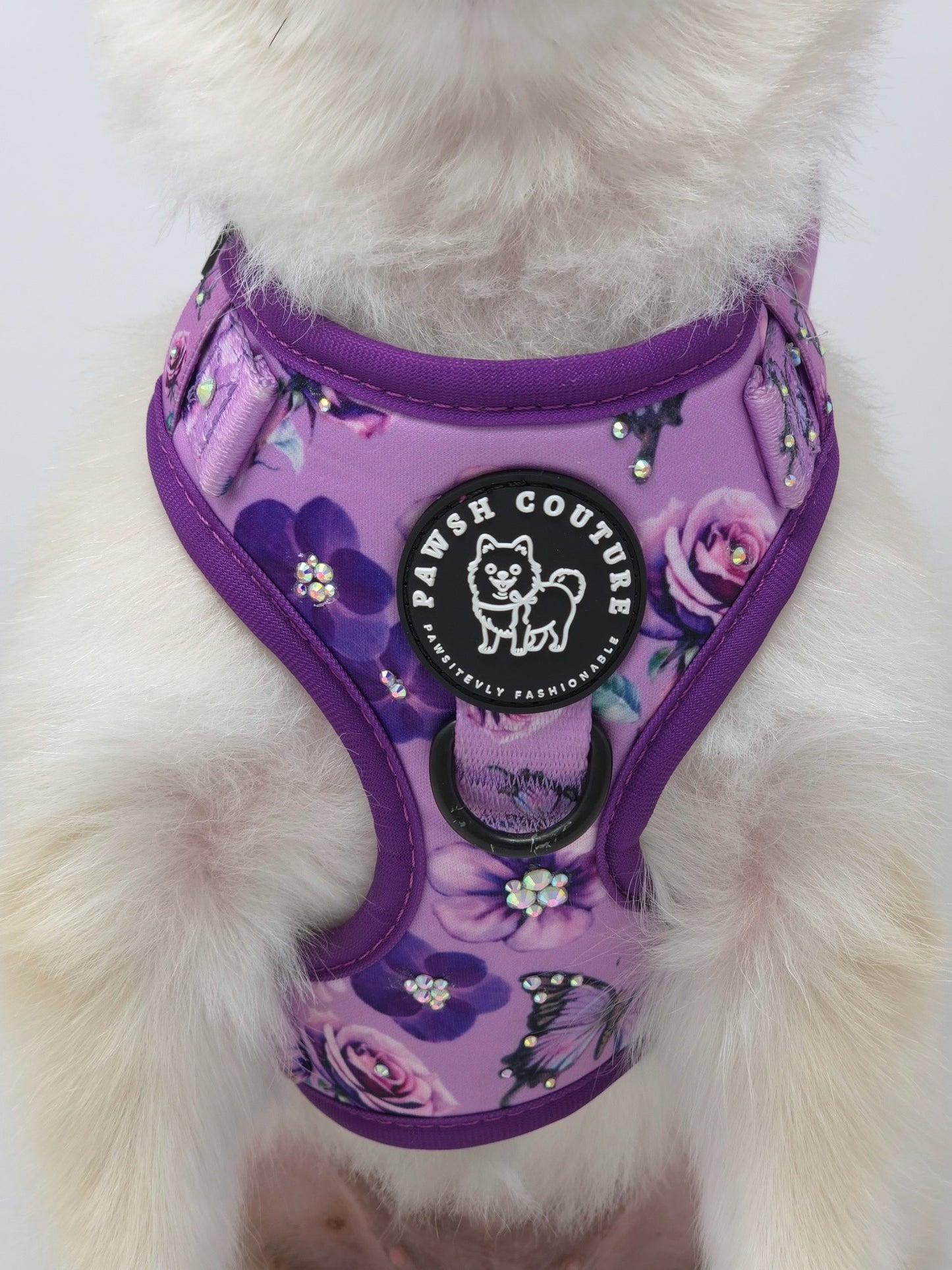 Pawsh Luxury Set