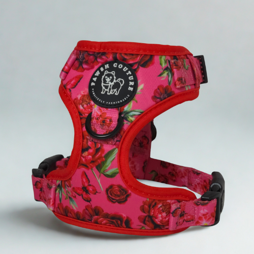 Dog Harnesses