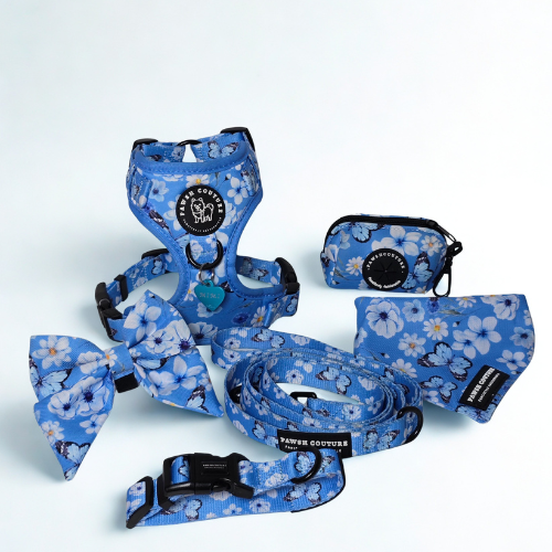 The Eternal Bloom Collection