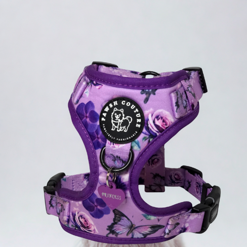 Amethyst Violeta Bloom