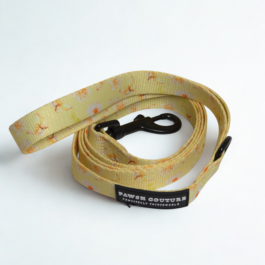 Golden Sol Bloom Dog Leash